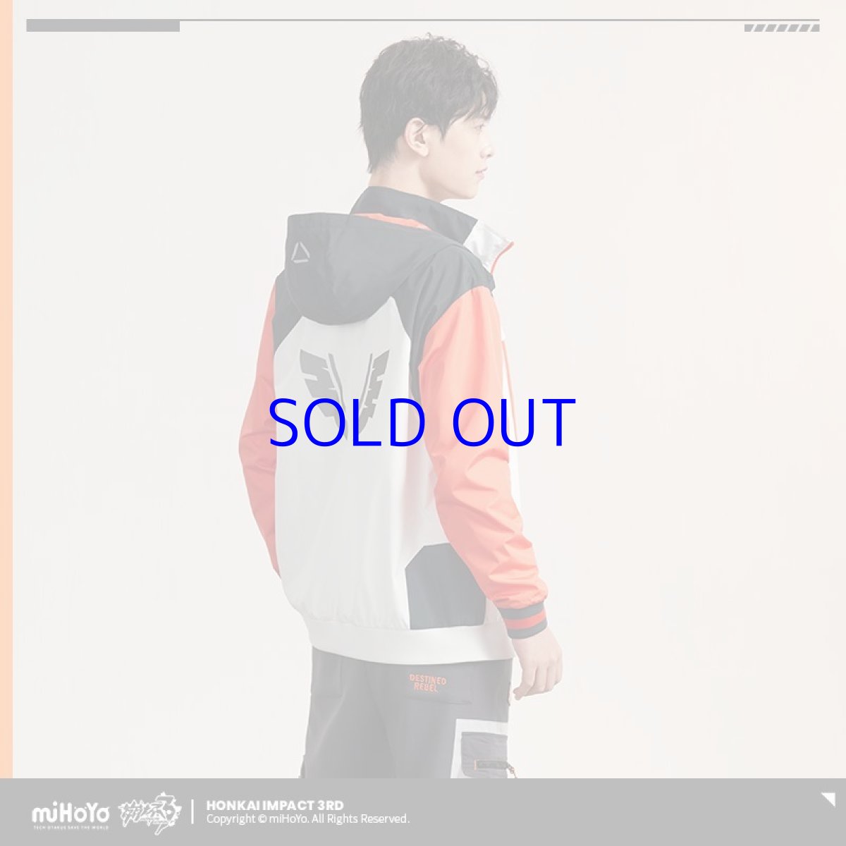 画像7: 崩壊3rd　キアナ・彷徨う旅人　ジャケット　特典付き (7)