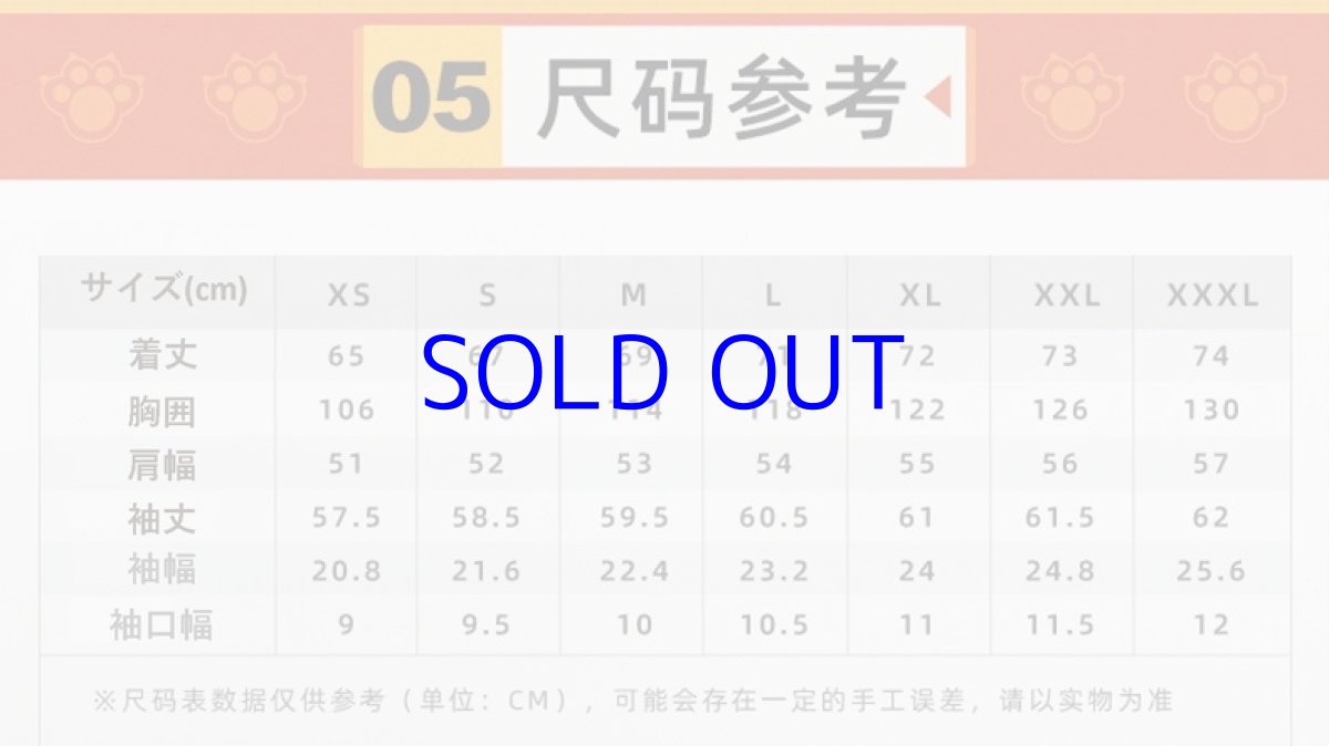 画像14: 崩壊3rd　キアナ・彷徨う旅人　ジャケット　特典付き (14)