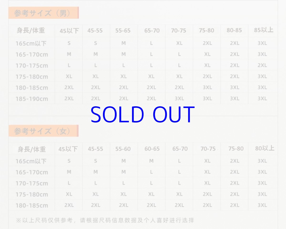 画像15: 崩壊3rd　キアナ・彷徨う旅人　ジャケット　特典付き (15)