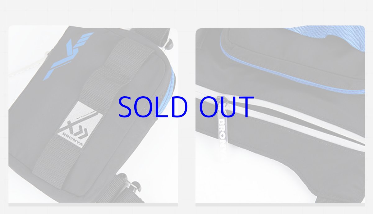 画像17: 崩壊3rd　ブローニャ・真理の律者　バッグ　特典付き (17)