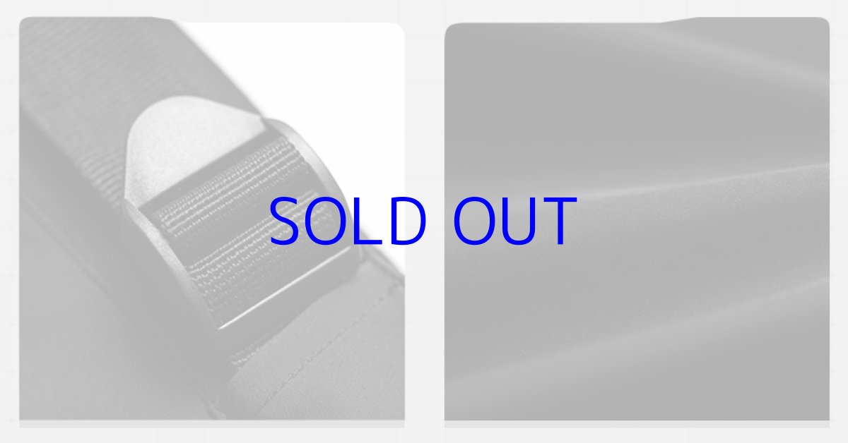 画像17: 崩壊3rd　ブローニャ・真理の律者　ズボン　特典付き (17)