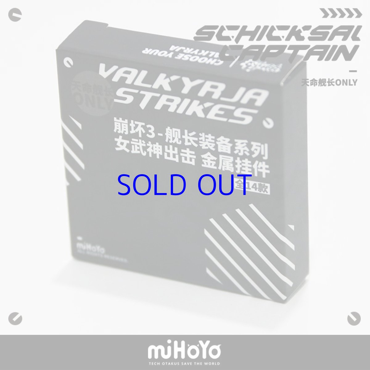 画像7: 【3rd 35pt】崩壊3rd　戦乙女　金属キーホルダー　Vol.1　ランダム単品 (7)