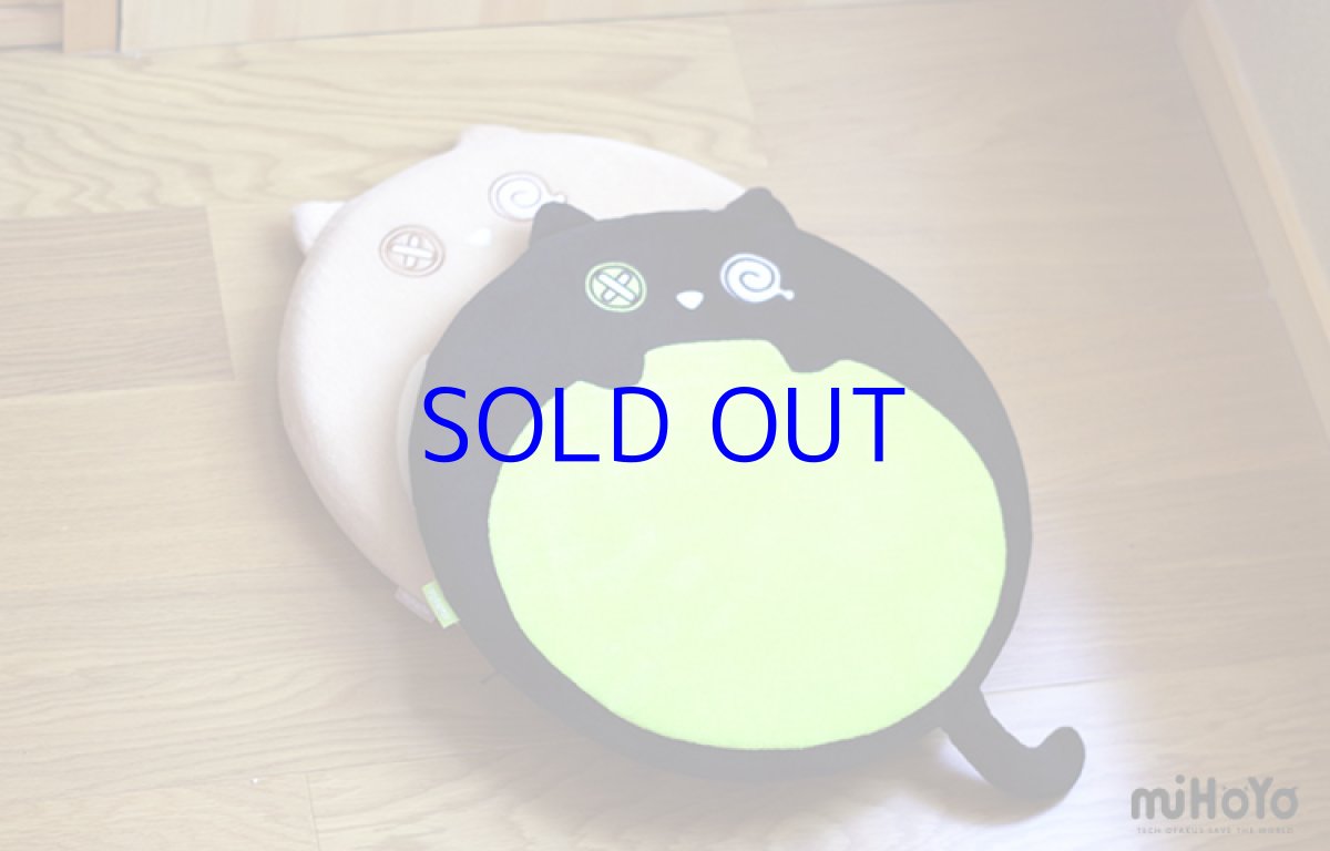 画像11: 【3rd 98pt】崩壊3rd　シュレーディンガーの黒猫　座布団 (11)