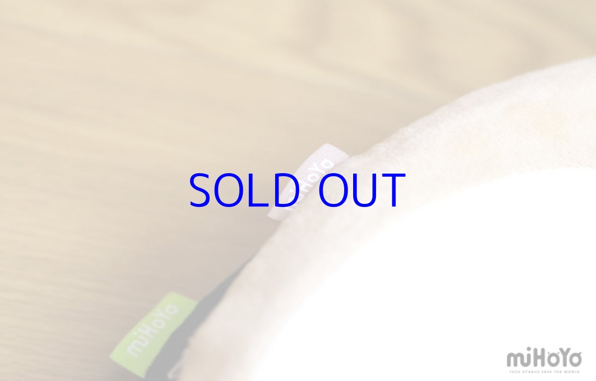 画像4: 【3rd 98pt】崩壊3rd　シュレーディンガーの黒猫　座布団 (4)