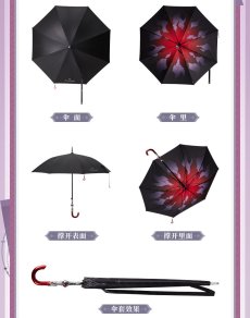 画像17: 【HSR 209pt】崩壊：スターレイル　長夜月イメージ　長傘　特典アクスタ付き【予約10月下旬】 (17)