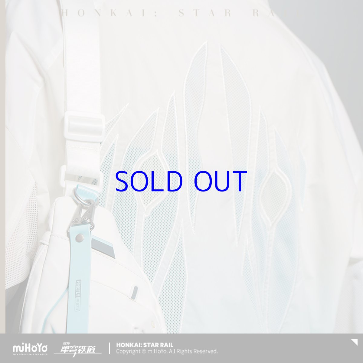 画像6: 【HSR 349pt】崩壊：スターレイル　ホタルイメージ　ジャケット　特典アクスタ付き (6)