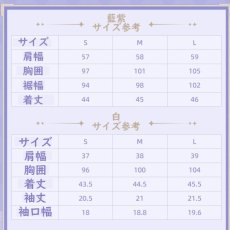 画像13: 【HSR 129pt】崩壊：スターレイル　ロビンイメージ　クロップドTシャツ（2種類） (13)