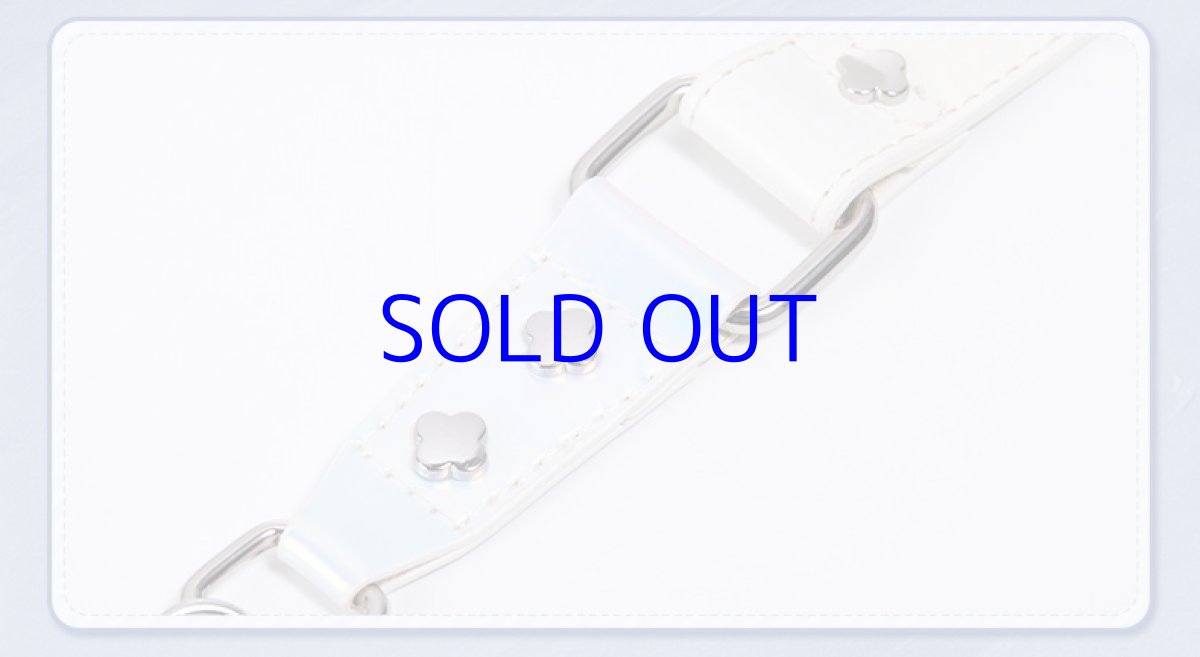 画像17: 崩壊：スターレイル　三月なのか　ショルダーバッグ　特典付き (17)