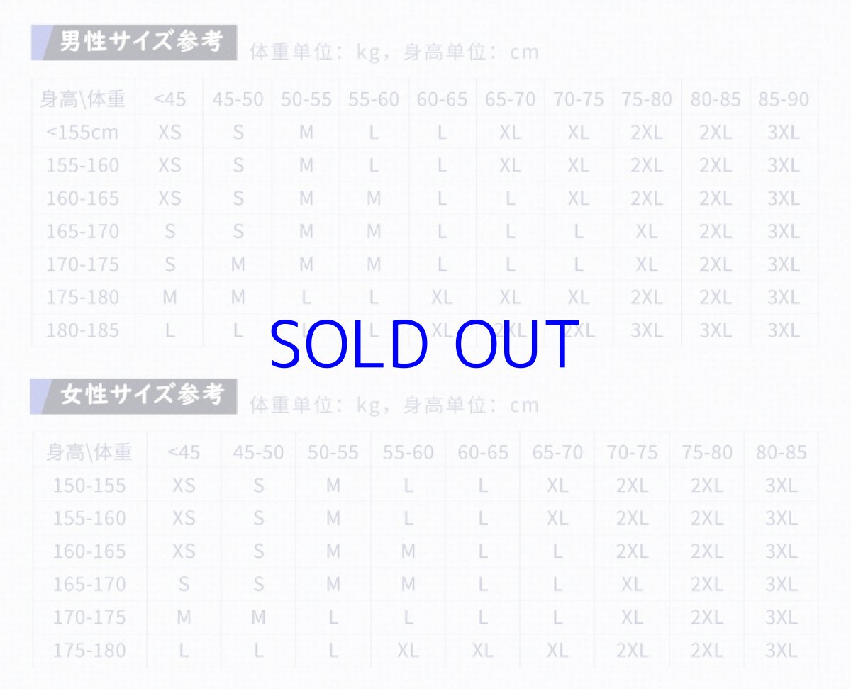 画像9: 【HSR 129pt】崩壊：スターレイル　銀狼イメージ　パーカー (9)