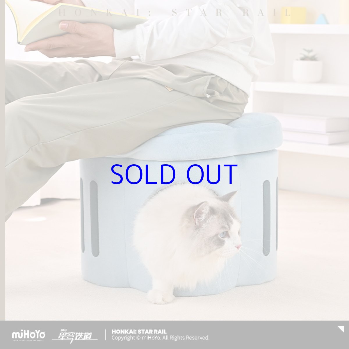 画像5: 崩壊：スターレイル　ルアン・メェイ創造物　猫ハウス (5)