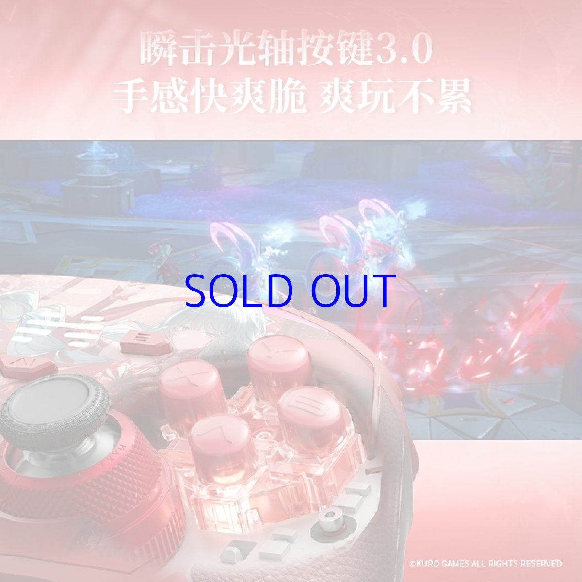 画像5: 鳴潮　フローヴァ　コントローラー【特殊航空便、船便】【予約180日以内】 (5)