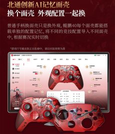 画像17: 鳴潮　フローヴァ　コントローラー【特殊航空便、船便】【予約180日以内】 (17)