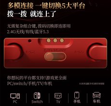 画像20: 鳴潮　フローヴァ　コントローラー【特殊航空便、船便】【予約180日以内】 (20)