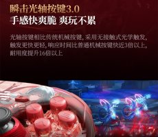 画像27: 鳴潮　フローヴァ　コントローラー【特殊航空便、船便】【予約180日以内】 (27)