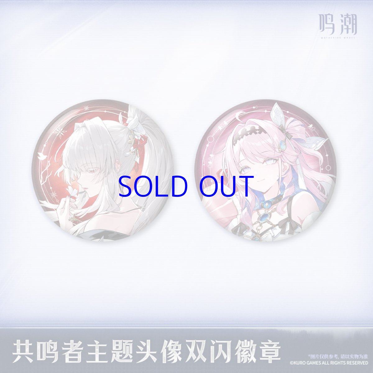 画像1: 鳴潮　キャラアイコン　缶バッジ【予約180日以内】 (1)