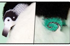 画像8: 鳴潮　共鳴者イメージ　ぬいぐるみキーホルダー (8)