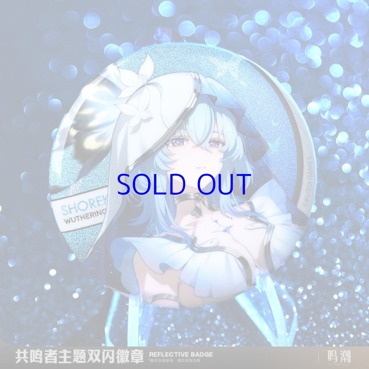 画像2: 鳴潮　立ち絵　缶バッジ　Vol.1 (2)