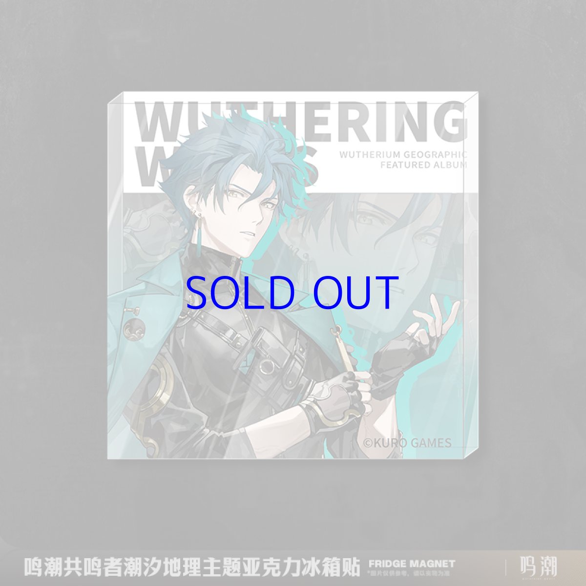 画像2: 鳴潮 潮汐ジオグラフィック マグネット (2)