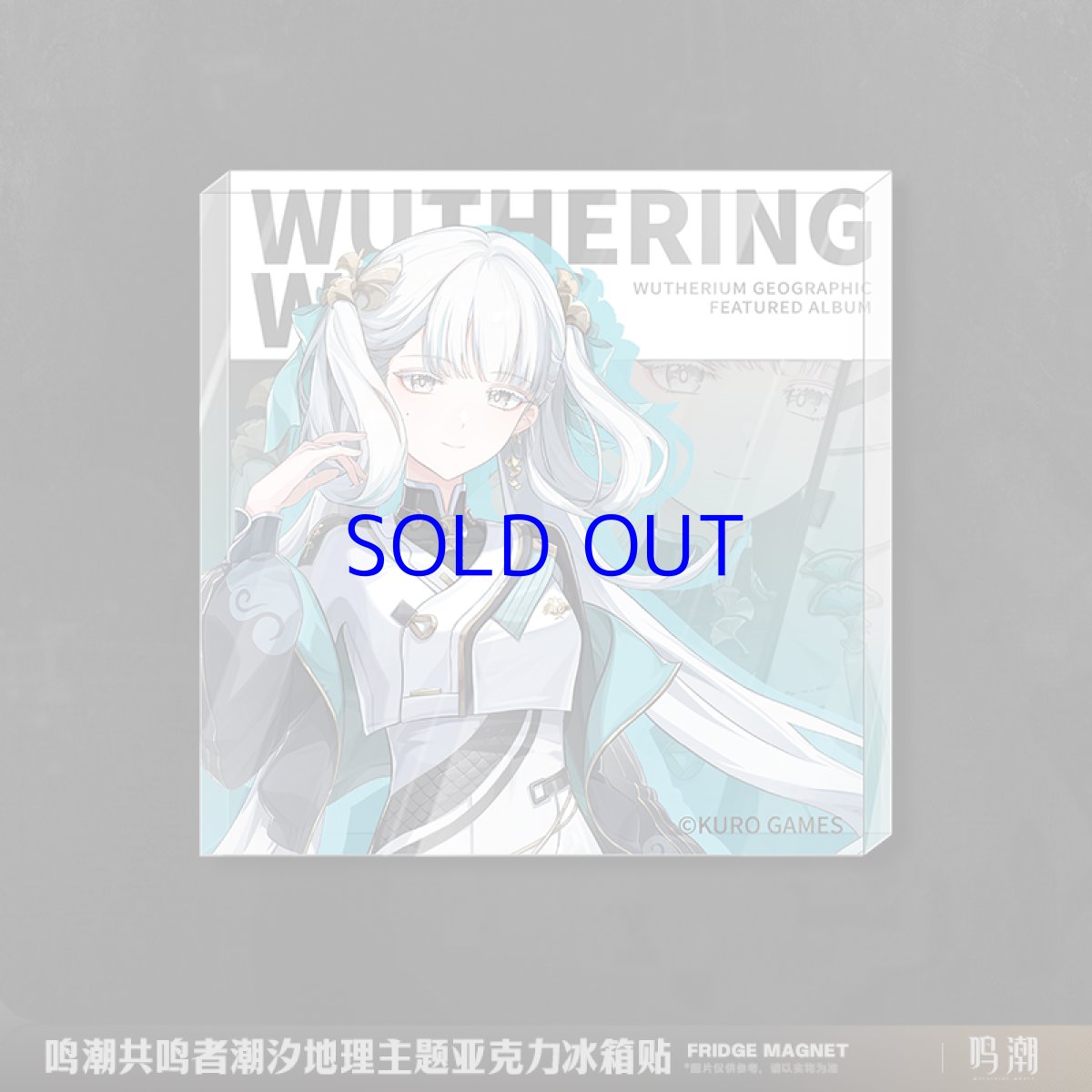 画像3: 鳴潮 潮汐ジオグラフィック マグネット (3)