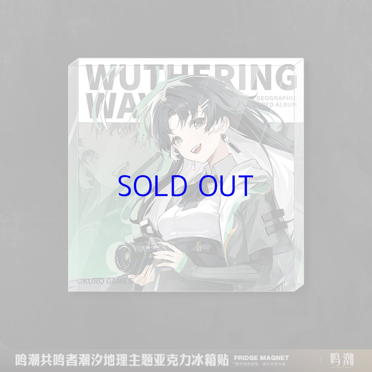 画像4: 鳴潮 潮汐ジオグラフィック マグネット (4)