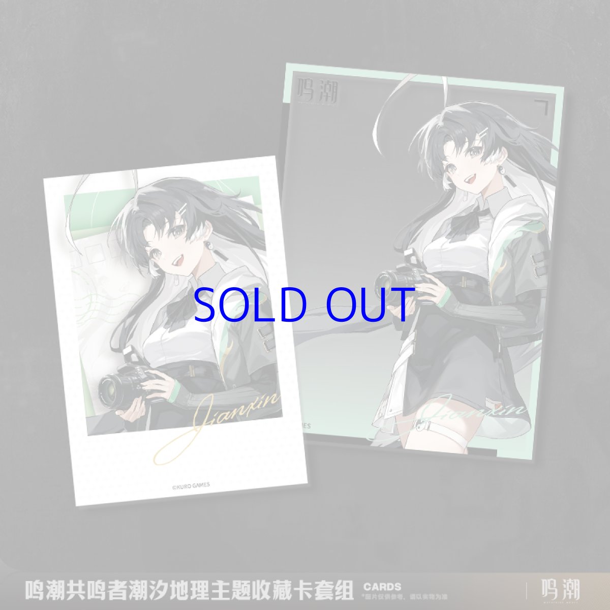 画像4: 鳴潮 潮汐ジオグラフィック カードセット (4)