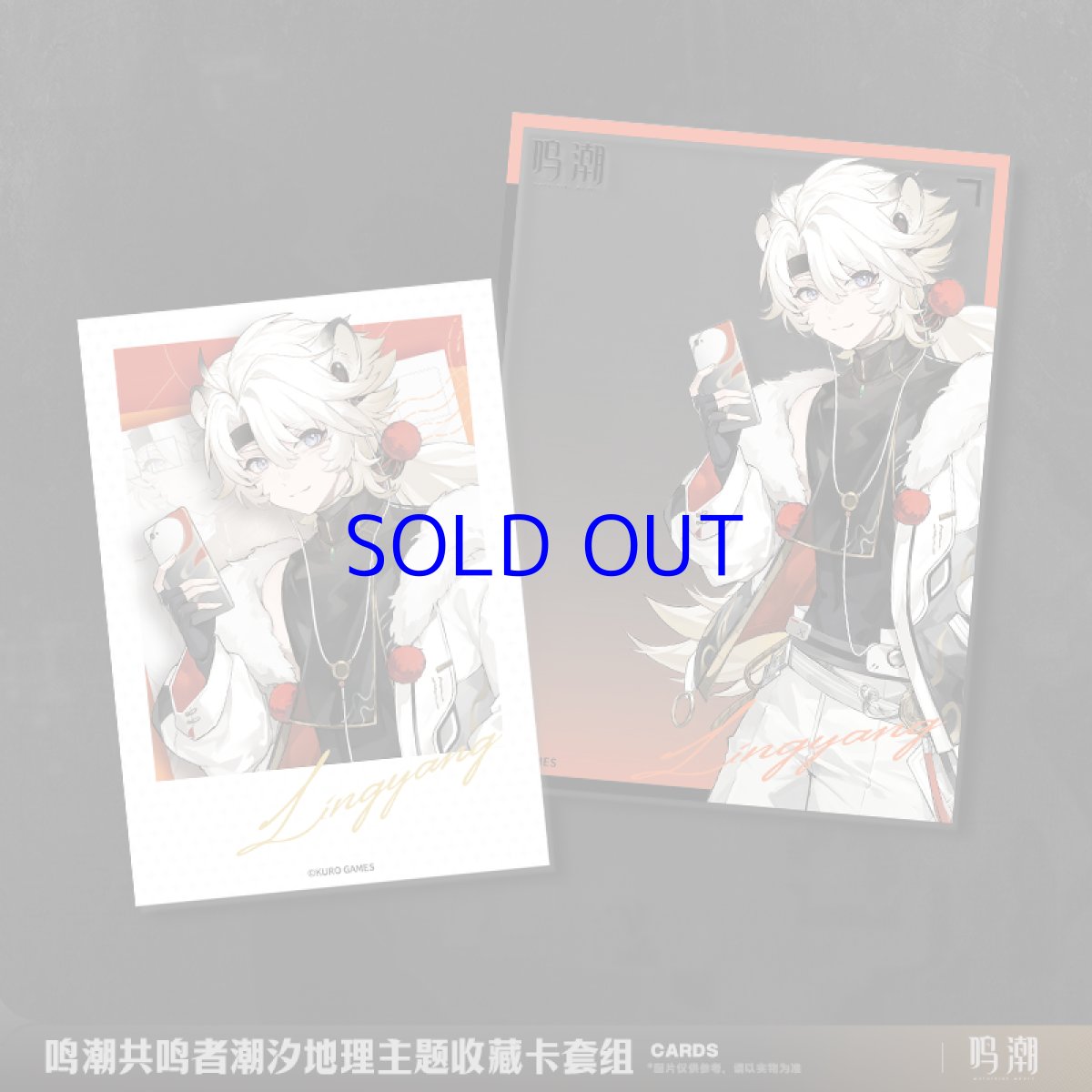 画像5: 鳴潮 潮汐ジオグラフィック カードセット (5)