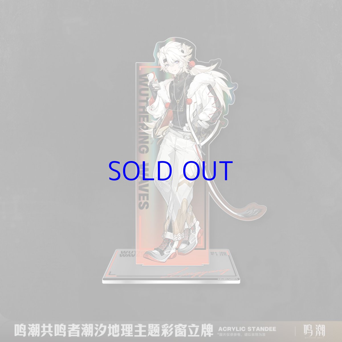 画像5: 鳴潮　潮汐ジオグラフィック　アクリルスタンド (5)