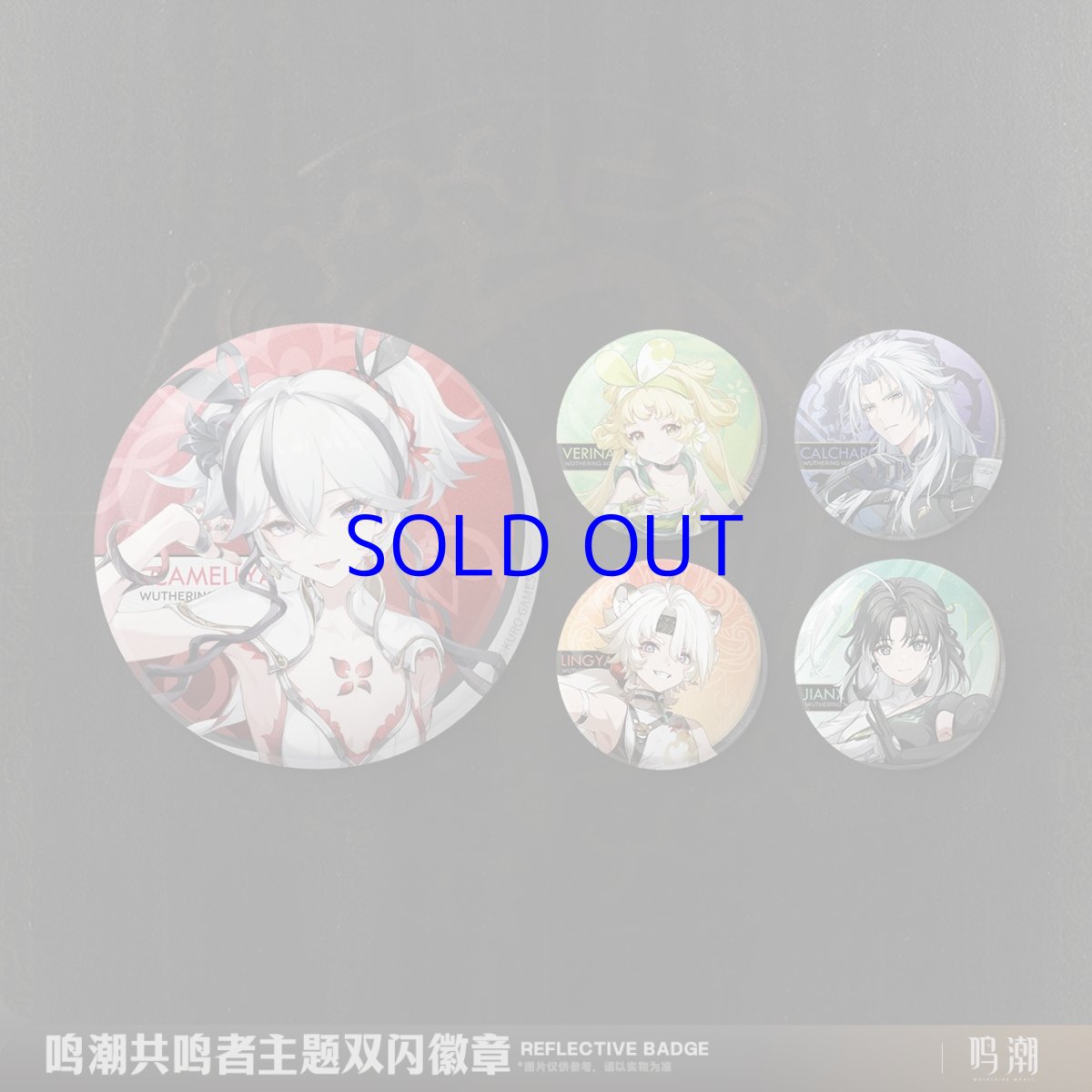 画像1: 鳴潮　立ち絵　缶バッジ　Vol.2 (1)