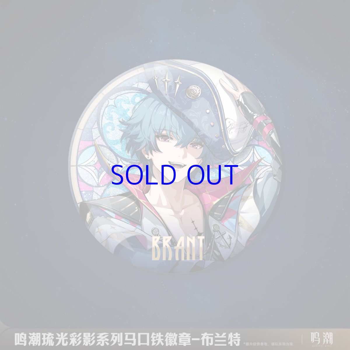 画像4: 鳴潮　琉光彩影　缶バッジ　Vol.1 (4)