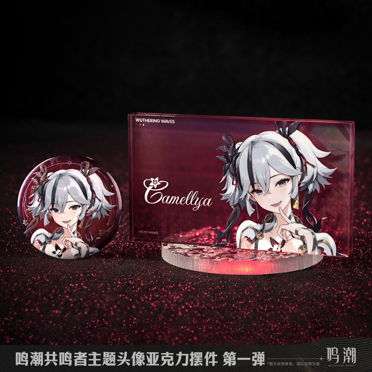 画像5: 鳴潮　キャラアイコン　缶バッジ (5)