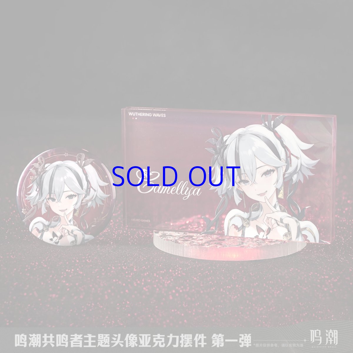 画像5: 鳴潮　キャラアイコン　アクリルブロック (5)