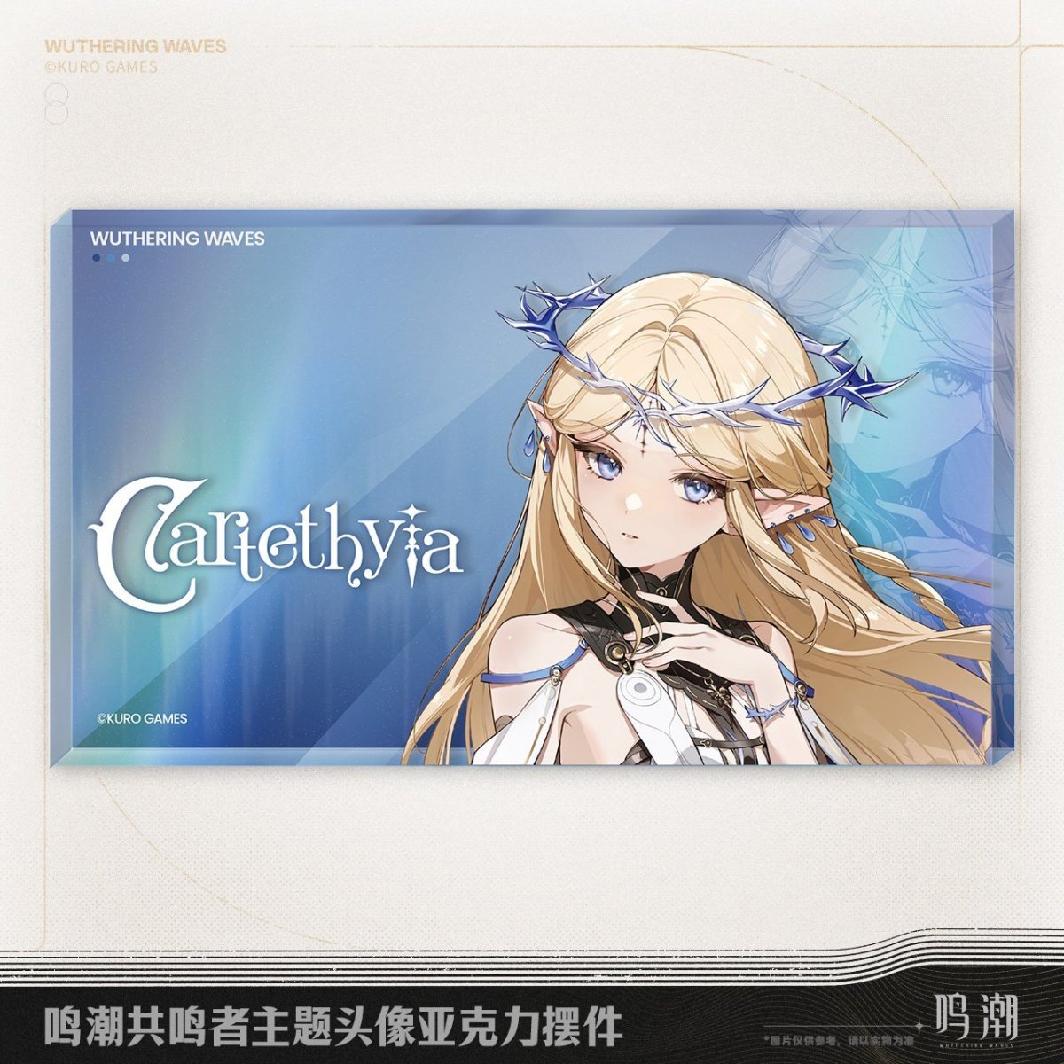 画像3: 鳴潮　キャラアイコン　アクリルブロック【予約180日以内】 (3)