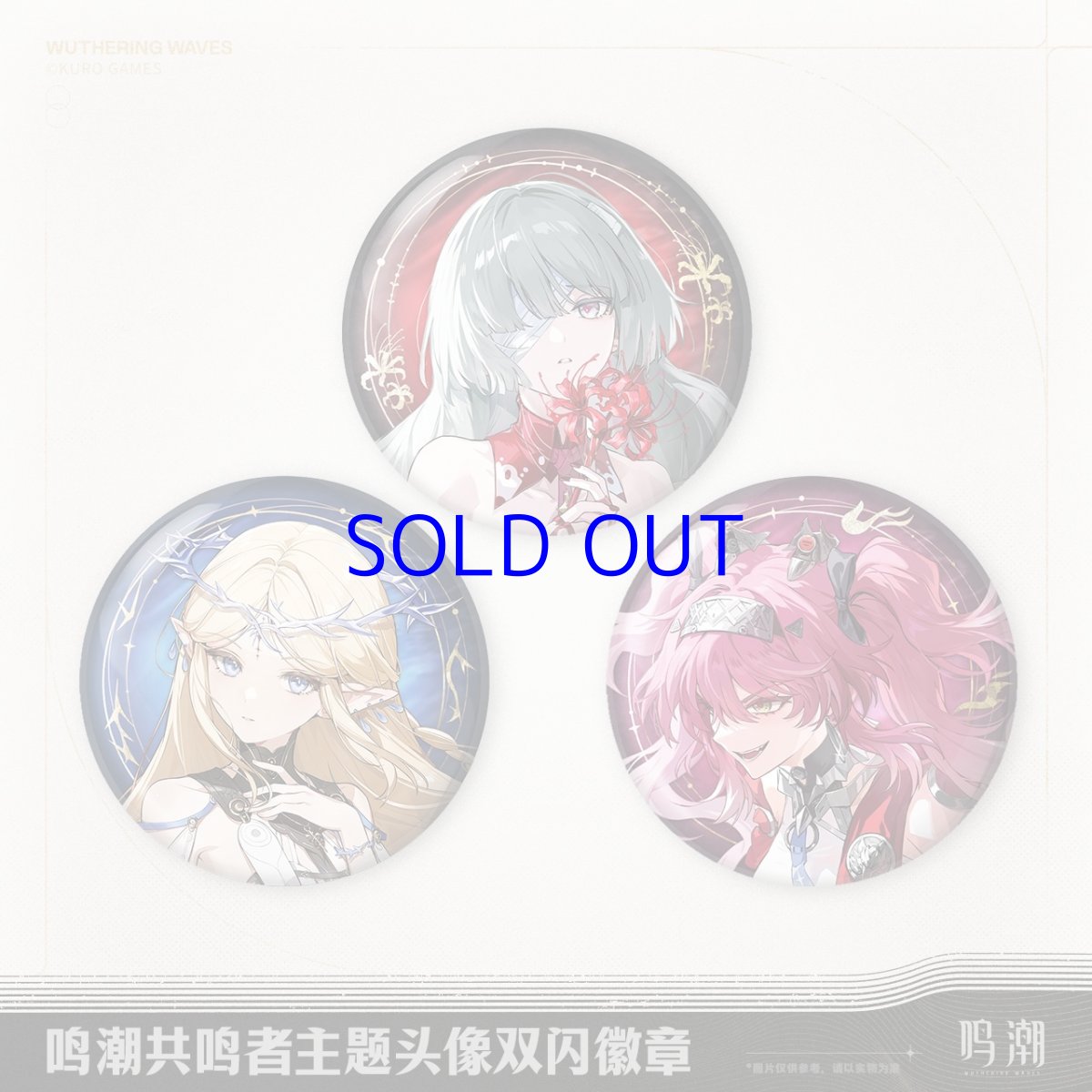 画像1: 鳴潮　キャラアイコン　缶バッジ (1)