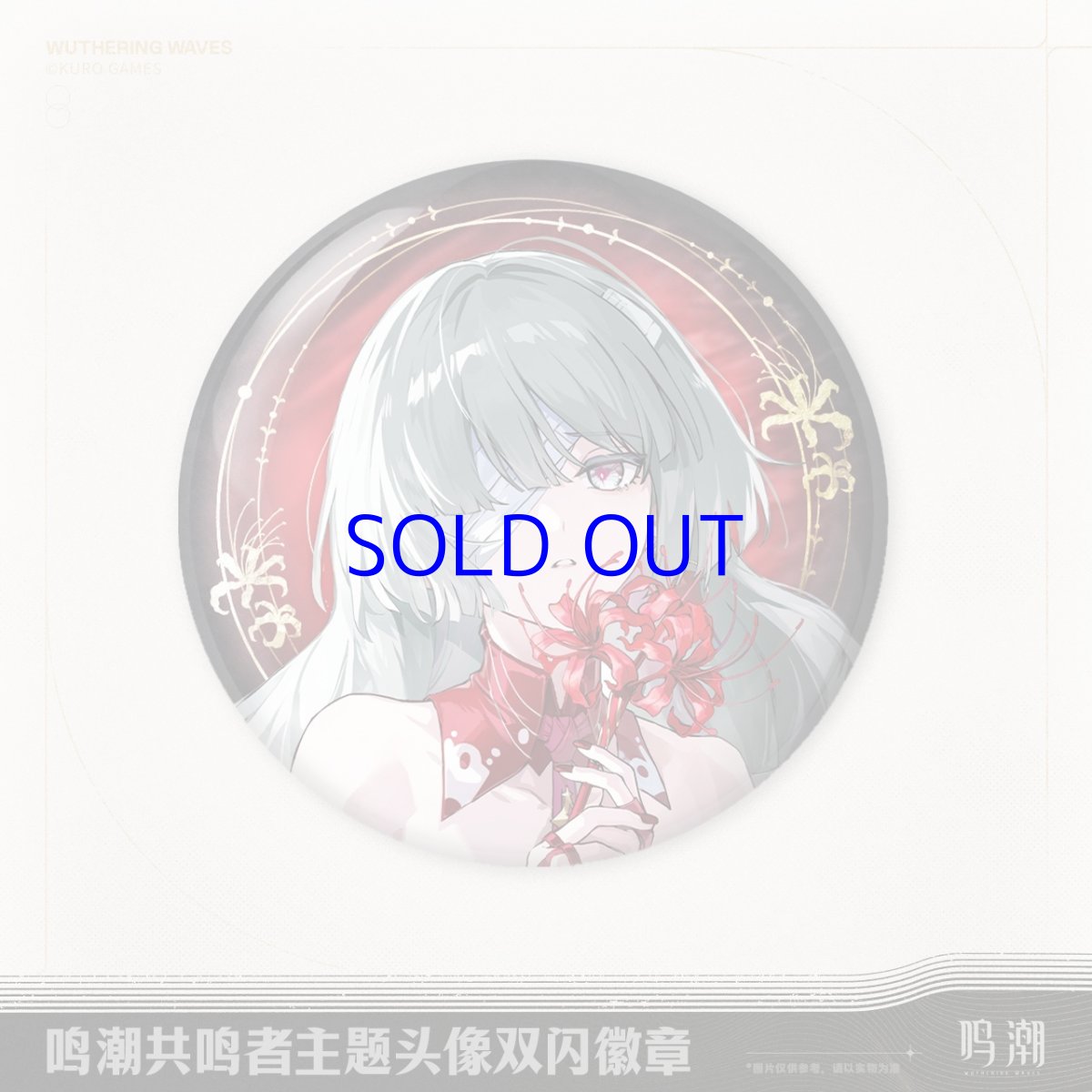 画像2: 鳴潮　キャラアイコン　缶バッジ (2)