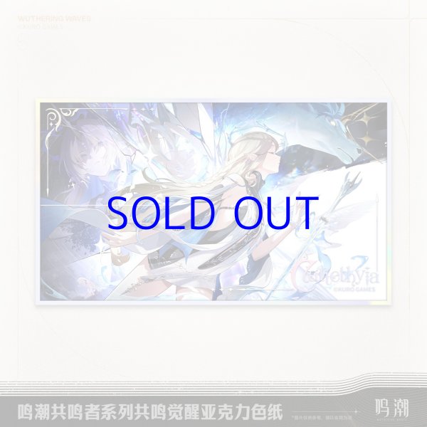超激レア ろるあ 解 アクリルアート「漂白」 鳴潮 共鳴解放 アクリル色紙 - HAKUTEA