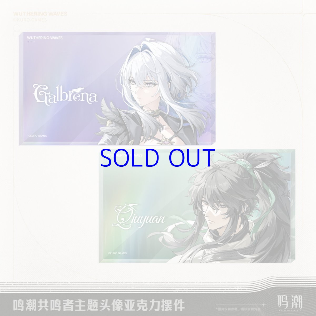 画像1: 鳴潮　キャラアイコン　アクリルブロック【予約180日以内】 (1)