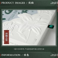 画像6: 【ZZZ 99pt】ゼンレスゾーンゼロ　青衣EP「朱に染まりし青煙」　アルバムセット【予約9月下旬】 (6)