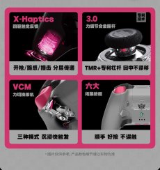 画像7: 【ZZZ A 899pt】ゼンレスゾーンゼロ　FlyDigi APEX6Pro　妄想エンジェルモチーフ　コントローラー【特殊航空便、船便】【予約2月中旬】 (7)