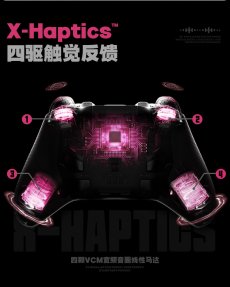 画像8: 【ZZZ A 899pt】ゼンレスゾーンゼロ　FlyDigi APEX6Pro　妄想エンジェルモチーフ　コントローラー【特殊航空便、船便】【予約2月中旬】 (8)