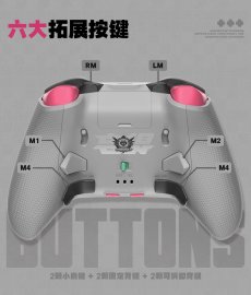 画像14: 【ZZZ A 899pt】ゼンレスゾーンゼロ　FlyDigi APEX6Pro　妄想エンジェルモチーフ　コントローラー【特殊航空便、船便】【予約2月中旬】 (14)
