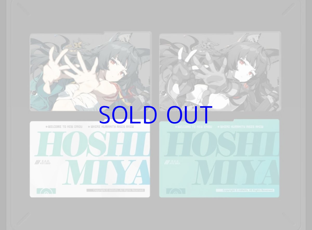 画像6: ゼンレスゾーンゼロ　心象映画　アクリルカード&フレームセット　対ホロウ6課（4種類）【予約7月中旬】 (6)