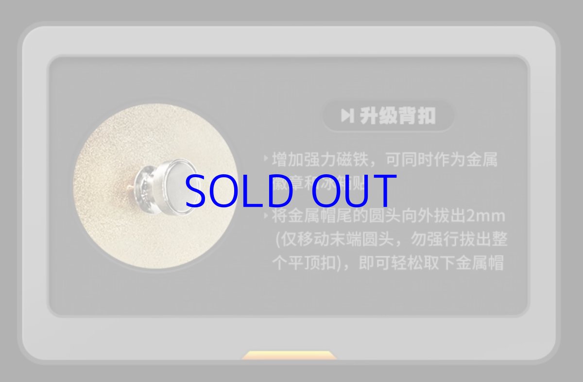 画像8: 【ZZZ 48pt】ゼンレスゾーンゼロ　陣営　金属バッジ　Vol.2 (8)