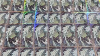レビュー15-投稿画像1