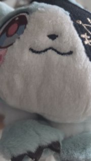 レビュー19-投稿画像1